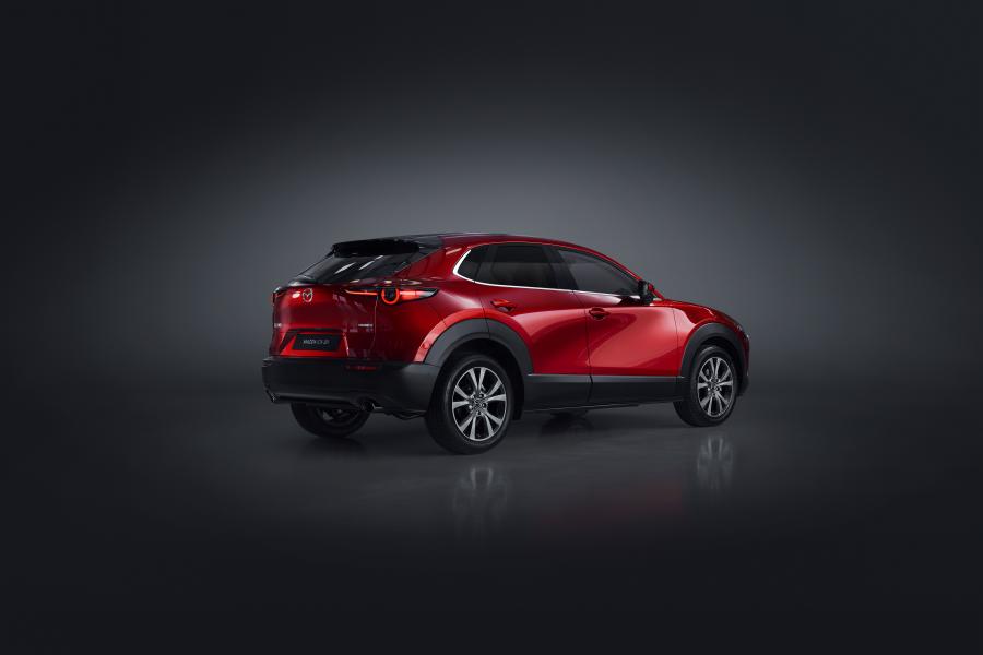  Mazda CX-30 2019 года  (WW) (фото 12 из 40)